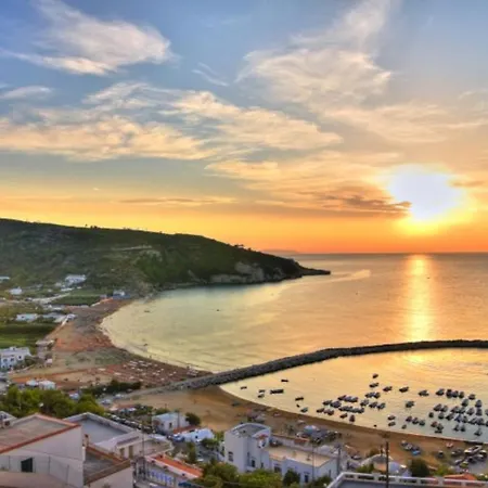 Miramar * 페스키치